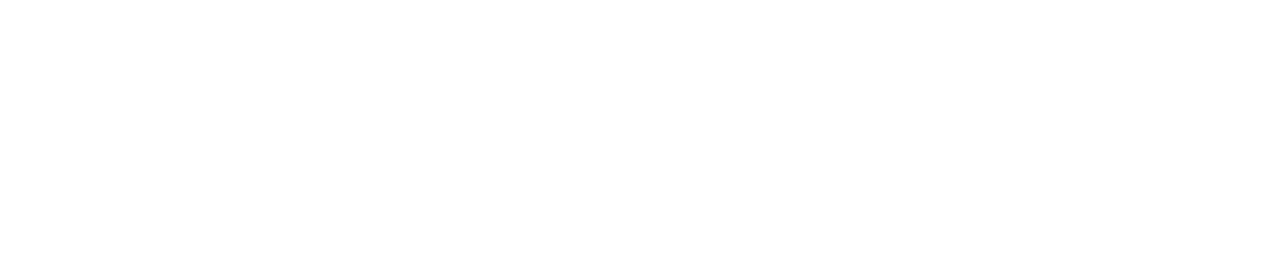 Logo Foster Occitanie